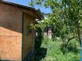 Отдельный дом · 3 комнаты · 45 м² · 7 сот., Линия 3 за 20 млн ₸ в Байсерке — фото 9