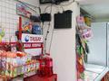 Еркін · 60 м², бағасы: 18 млн ₸ в Жандосов — фото 7
