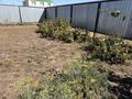 Жеке үй · 3 бөлме · 90 м² · 5 жүзд., Копеева 1, бағасы: 18.9 млн ₸ в Уральске — фото 4