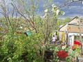Дача · 3 комнаты · 50 м² · 8 сот., Монтажник 31 — За Куленовкой с.т. Надежда, Монтажник за 2.9 млн ₸ в Усть-Каменогорске — фото 9