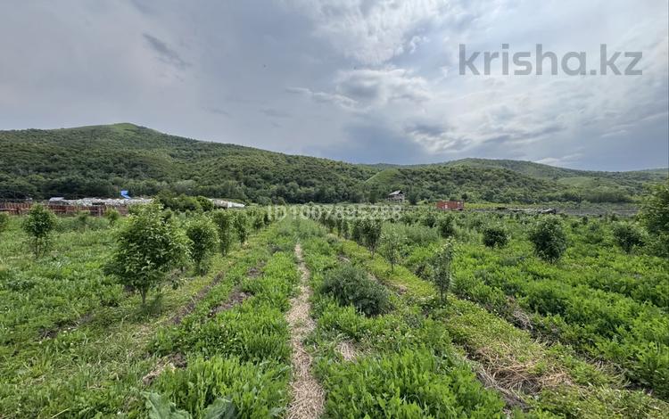 Отдельный дом · 4 комнаты · 130 м² · 200 сот., Западная 37 — Недалеко от центра за 83 млн ₸ в Есик — фото 21