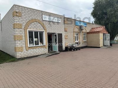 Магазины и бутики · 106 м² за 60 млн ₸ в Павлодарской обл., Актогай