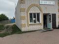 Магазины и бутики · 106 м² за 60 млн ₸ в Павлодарской обл., Актогай — фото 2