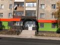 Свободное назначение, магазины и бутики, салоны красоты, медцентры и аптеки, образование · 335 м² за 63 млн 〒 в Караганде, Казыбек би р-н — фото 7