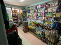 Магазины и бутики • 46 м² за 12.5 млн 〒 в Таразе — фото 3