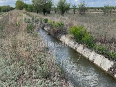 Участок · 800 га, Курчум за 100 000 ₸