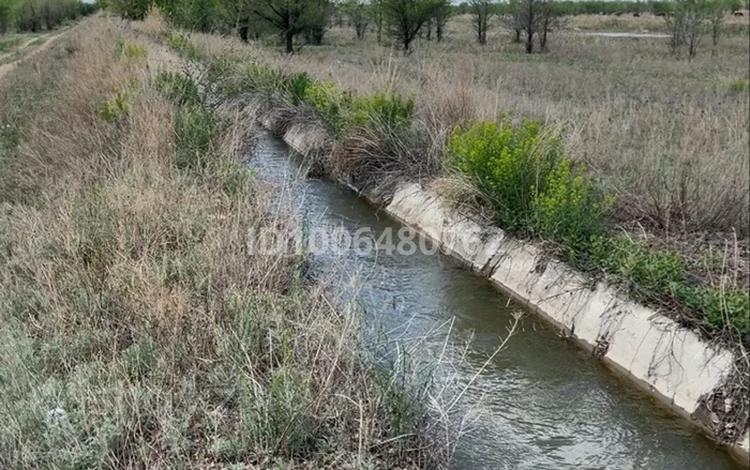 Жер телімі · 800 га, Курчум, бағасы: 100 000 ₸ — фото 2