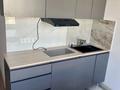 1-комнатная квартира · 27 м² · 2/5 этаж, мкр 20-й 1/15 — Монке би Саина за 150 000 ₸ в Алматы, Алатауский р-н — фото 9
