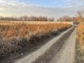 Жер телімі · 6 сотық, Қаскелең, бағасы: 12 млн ₸ в Каскелене — фото 3