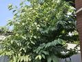 Жеке үй · 3 бөлме · 108 м² · 4 сот., Азербаева 93, бағасы: 39 млн ₸ в Боралдае (Бурундай) — фото 31