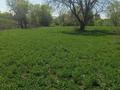 Участок · 65 соток, Выше хамле 1 — Выше сду за 19 млн ₸ в Каскелене — фото 10