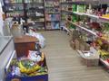 Магазины и бутики • 216 м² за 35 млн 〒 в Кольди — фото 3