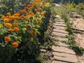 Дача · 3 комнаты · 25 м² · 8.5 сот., мкр Фёдоровка набережная 17 за 5 млн 〒 в Караганде, Казыбек би р-н — фото 5