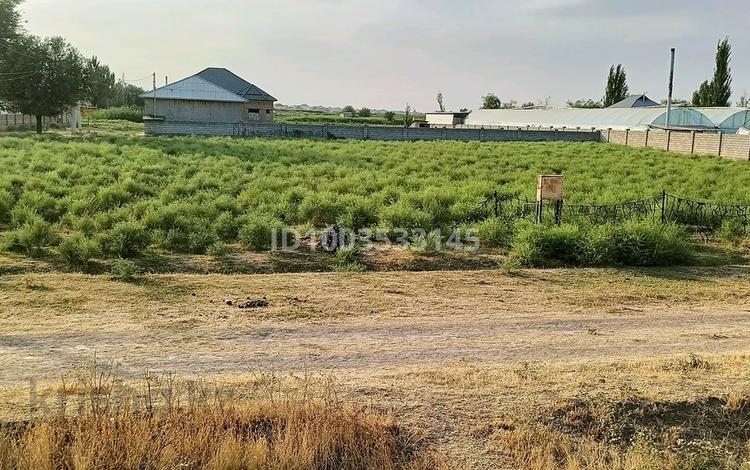 Участок · 30 соток, Дастан ауылы шыттық за 15 млн ₸ в Сарыагаш — фото 2