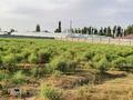 Участок · 30 соток, Дастан ауылы шыттық за 15 млн ₸ в Сарыагаш — фото 5