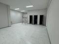 Свободное назначение · 260 м² за 850 000 〒 в Алматы, Наурызбайский р-н — фото 5