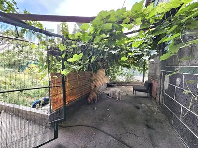 Отдельный дом · 5 комнат · 110 м² · 5.9 сот., Шарипова за 65 млн 〒 в Алматы, Медеуский р-н