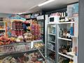 Магазины и бутики · 55 м² за 18 млн ₸ в Астане, Сарыарка р-н — фото 5