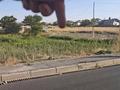 Участок · 8 соток, Мактаарал 89 — Сайрам поворот Пахтакор за 7.5 млн ₸ в Шымкенте, Енбекшинский р-н — фото 2
