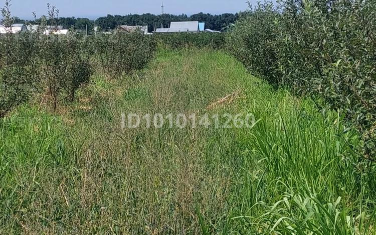 Участок · 105 соток, Поменяю на участок Есике под дом,сад Болеке хорошем месте. за 15 млн 〒 — фото 2