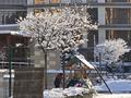 3-комнатная квартира · 116 м² · 6/6 этаж, мкр Ерменсай, Жанакорган — Ремизовка за 112 млн ₸ в Алматы, Бостандыкский р-н — фото 29