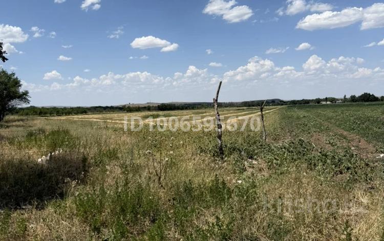 Участок · 2 га, Толль за 15 млн ₸ в Каргалы (п. Фабричный) — фото 8