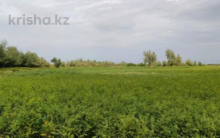 Участок · 15 соток, Казыбек би за 500 млн ₸ в Алматы, Алмалинский р-н — фото 2