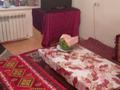 1-бөлмелі пәтер · 32 м² · 1/5 қабат, Аликсандр Затаеевич — Находится возле торгового центра таир., бағасы: 9 млн ₸ в Караганде, Казыбек би р-н — фото 11