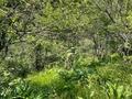 Дача · 1 комната · 10 м² · 6 сот., мкр Бутаковка — Замантас за 10 млн ₸ в Алматы, Медеуский р-н — фото 9