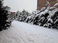 Отдельный дом · 6 комнат · 380.4 м² · 10 сот., мкр Акжар, Медеубекова за 98 млн ₸ в Алматы, Наурызбайский р-н — фото 4
