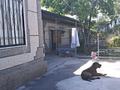 Жеке үй · 5 бөлме · 75 м² · 6.4 жүзд., КАСЫМБЕКОВА 17, бағасы: 32 млн ₸ в Таразе — фото 3