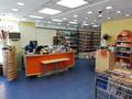 Магазины и бутики • 236 м² за 140 млн 〒 в Астане — фото 3