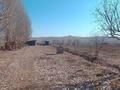 Саяжай · 3 бөлме · 90 м² · 300 жүзд., Центральная — Возле мечети,п.Бірлік, бағасы: 22 млн ₸ в Жамбыл (Жамбылский район) — фото 8
