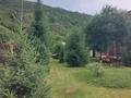 Отдельный дом · 5 комнат · 215.5 м² · 23 сот., Шоссейная 7 — Горная Ульбинка за 135 млн ₸ в Тарханка — фото 3
