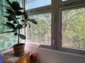 2-комнатная квартира · 45 м² · 3/5 этаж, Момышулы 92 за ~ 12.5 млн ₸ в Экибастузе — фото 18