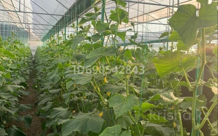 Сельское хозяйство • 1550 м² за 35 млн 〒 в Алматинской обл., Талгарский р-н — фото 2
