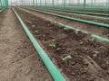 Сельское хозяйство • 1550 м² за 35 млн 〒 в Алматинской обл., Талгарский р-н — фото 3