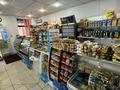 Продаться действующий магазин · 118 м², бағасы: 49 млн ₸ в Усть-Каменогорске — фото 2