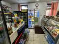 Продаться действующий магазин · 118 м², бағасы: 49 млн ₸ в Усть-Каменогорске — фото 11