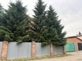 Жеке үй · 4 бөлме · 360 м² · 12 жүзд., Школьная 2Г, бағасы: 85 млн ₸ в Усть-Каменогорске, Меновное — фото 17