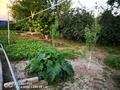 Жеке үй · 4 бөлме · 90 м² · 10 жүзд., Есиль 18 — Колхозная, бағасы: 20 млн ₸ в Уральске — фото 8