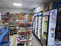 Свободное назначение, магазины и бутики, склады, салоны красоты, медцентры и аптеки · 50 м² за 13.9 млн ₸ в Астане, Алматы р-н — фото 2