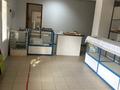 Қоғамдық тамақтану орны · 350 м², бағасы: 550 000 ₸ в Актобе — фото 23