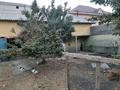Часть дома · 3 комнаты · 200 м² · 8 сот., мкр Нуртас, Мкр Нуртас кулагер 6 — Кулагер за 65 млн ₸ в Шымкенте, Каратауский р-н — фото 10