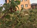 Отдельный дом · 6 комнат · 200 м² · 10 сот., Желтоксан 70 — Баян сулу за 99 млн ₸ в Косшы — фото 13