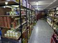 Магазин продуктовый · 200 м² за 35 млн ₸ в Астане, Сарайшык р-н — фото 6