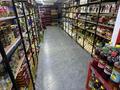 Магазин продуктовый · 200 м² за 35 млн ₸ в Астане, Сарайшык р-н — фото 7