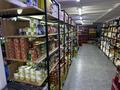 Магазин продуктовый · 200 м² за 35 млн ₸ в Астане, Сарайшык р-н — фото 9