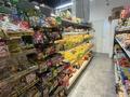 Готовый бизнес · 93 м² за 29.5 млн ₸ в Астане, Нура р-н