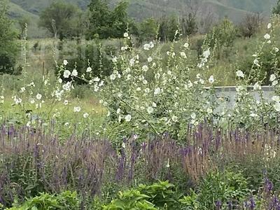 Дом · 2 комнаты · 40 м², мкр Горный Гигант, Актобе 21 за 28 000 〒 в Алматы, Медеуский р-н